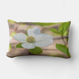 Pacific Dogwood Lumbarkudde