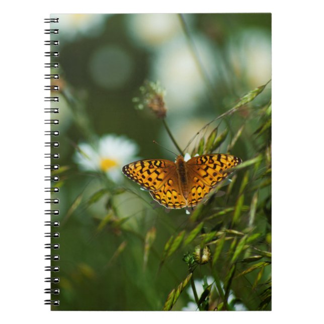 Pacific Fritillary Butterfly Anteckningsbok (Framsidan)