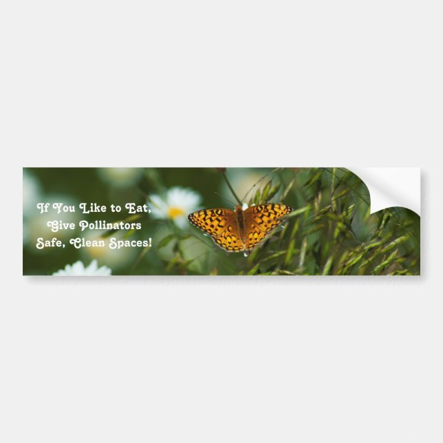 Pacific Fritillary Butterfly Bildekal (Framsidan)