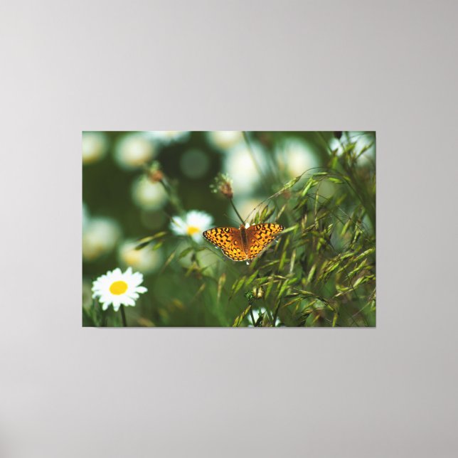 Pacific Fritillary Butterfly Canvastryck (Framsida)