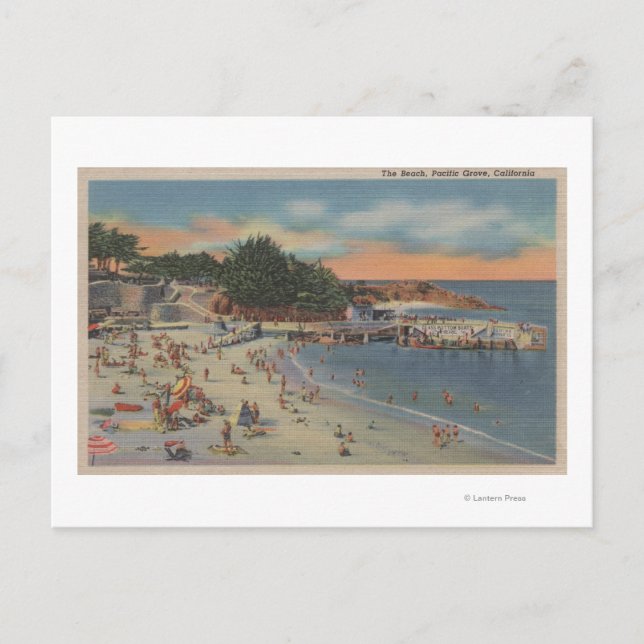 Pacific Grove, CA Vykort (Framsida)