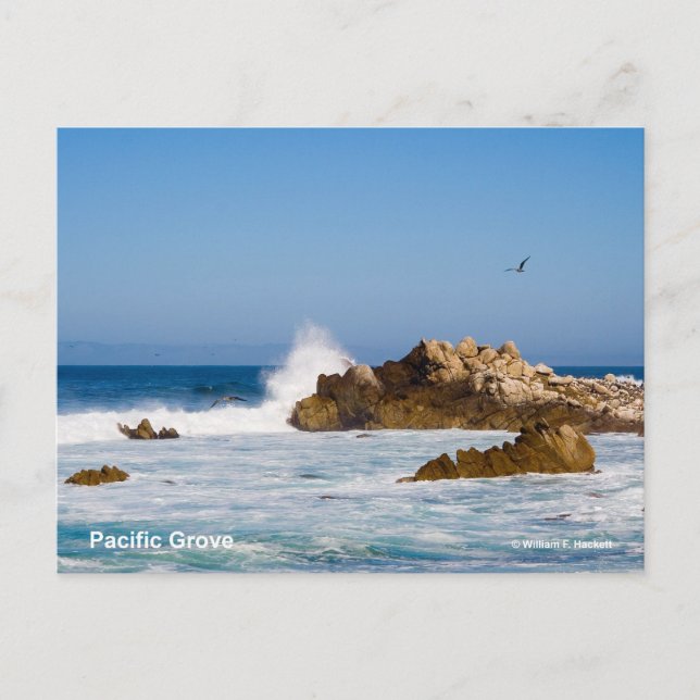 Pacific Grove California Products Vykort (Framsida)