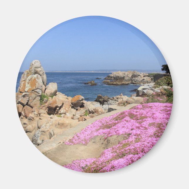 Pacific Grove Magnet (Framsidan)