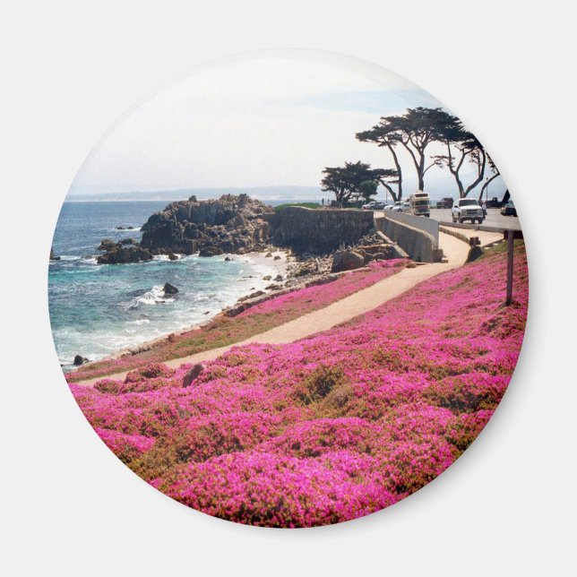 Pacific Grove-Monterey Calif Magnet (Framsidan)