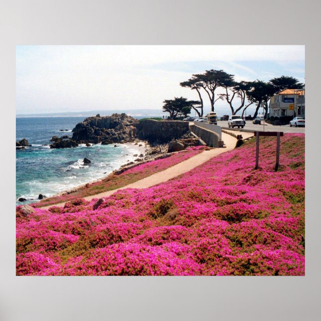 Pacific Grove-Monterey Calif Poster (Framsidan)