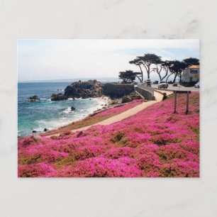 Pacific Grove-Monterey Kalifornien Vykort