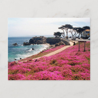 Pacific Grove-Monterey Kalifornien Vykort