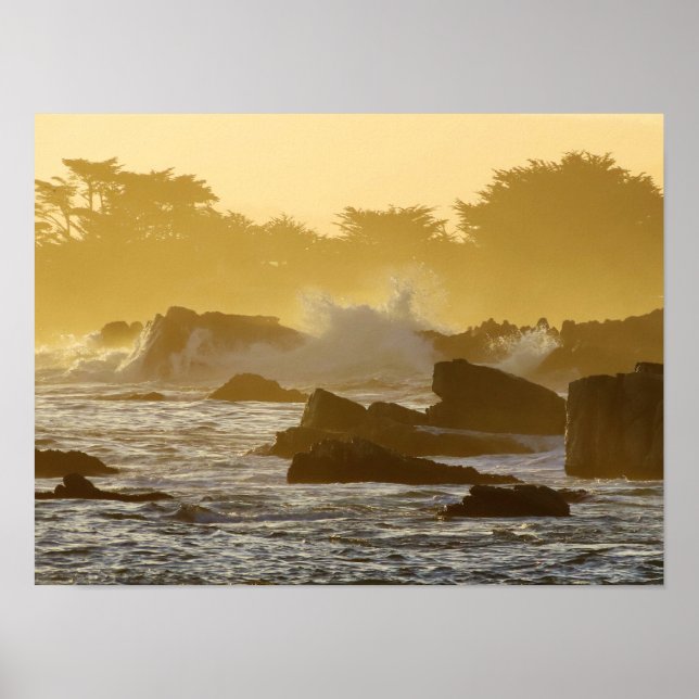 Pacific Grove Morgon Poster (Framsidan)