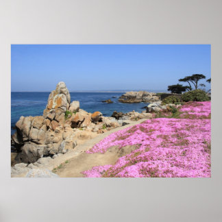Pacific Grove Poster