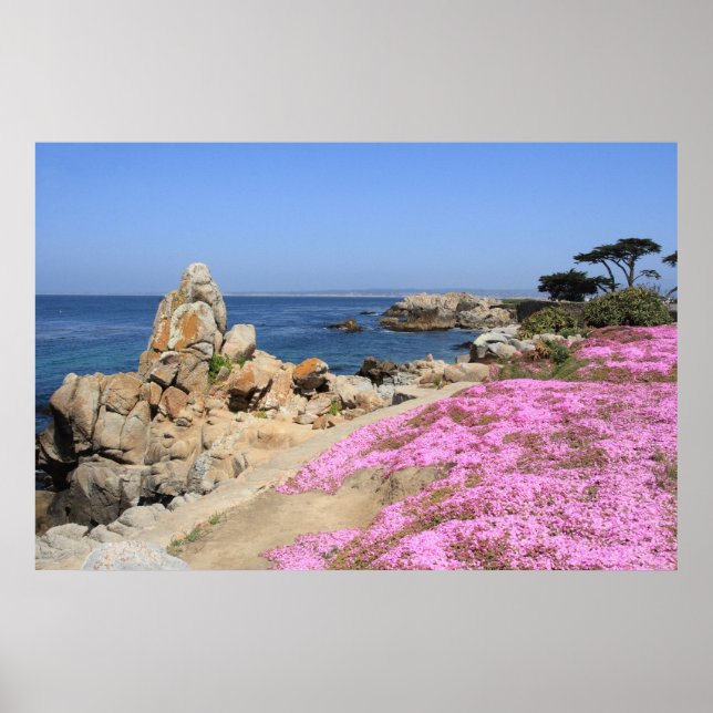 Pacific Grove Poster (Framsidan)
