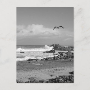 Pacific Grove Storm in Black & White Vykort