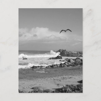 Pacific Grove Storm in Black & White Vykort