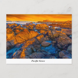 Pacific Grove-vykort Vykort
