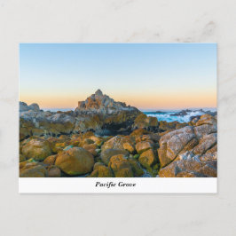 Pacific Grove-vykort Vykort