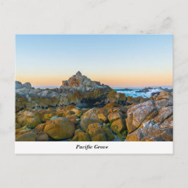 Pacific Grove-vykort Vykort