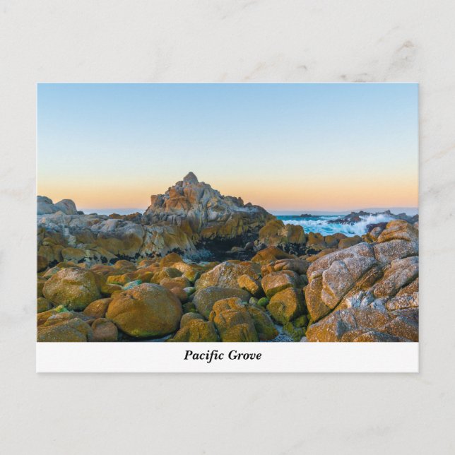 Pacific Grove-vykort Vykort (Framsida)