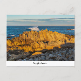 Pacific Grove-vykort Vykort