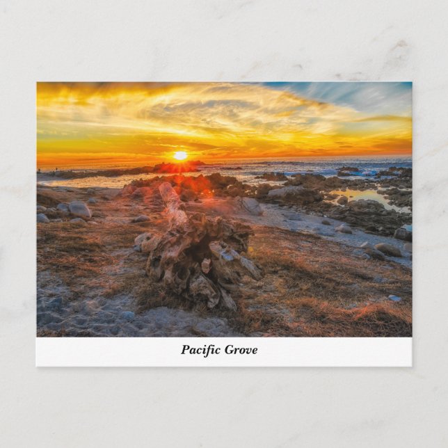 Pacific Grove-vykort Vykort (Framsida)