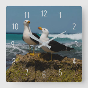 Pacific Gull Bird Beach i Paradise Australia Fyrkantig Klocka