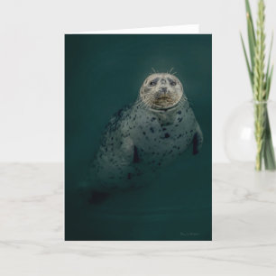 Pacific Harbour Seal - tackkort