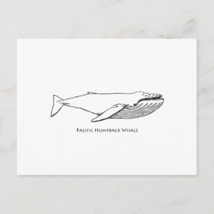Pacific Humpback Whale Vykort
