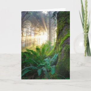 Pacific Kusten Forest, Oregon Kort