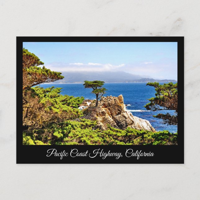PACIFIC KUSTEN HIGHWAY CALIFORNIA POSTCARD VYKORT (Framsida)