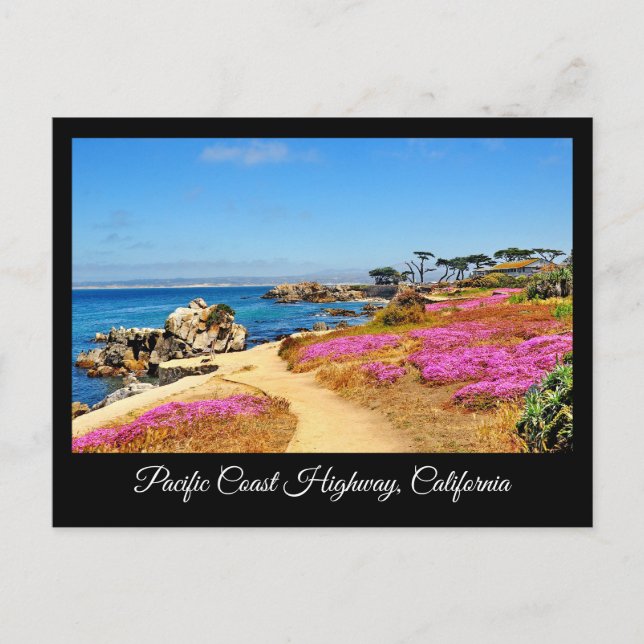 PACIFIC KUSTEN HIGHWAY CALIFORNIA POSTCARD VYKORT (Framsida)