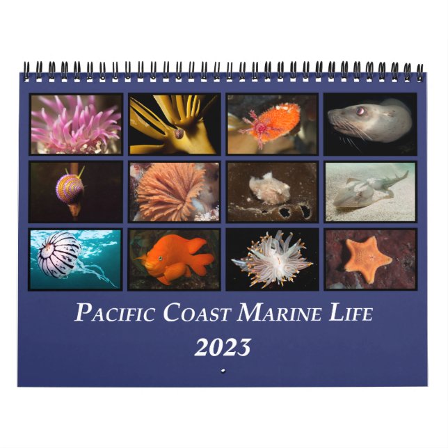 Pacific Kusten Marine Life Calendar Kalender (Omslag)