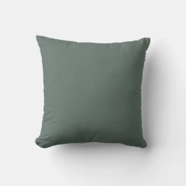Pacific Mörk grönt-Blue Grått Solid Färg SW 6215 Kudde
