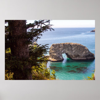 Pacific North West Oceanvy Poster