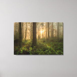 Pacific Northwest Forest   Foggy God morgon Canvastryck