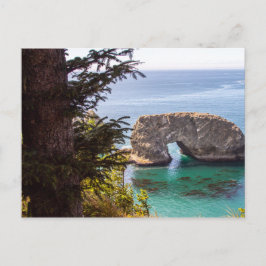 Pacific Northwest liggande vykort