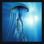 Pacific_Ocean_Jellyfish Poster<br><div class="desc">undervattensgelé</div>