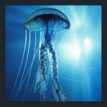 Pacific_Ocean_Jellyfish Poster<br><div class="desc">undervattensgelé</div>