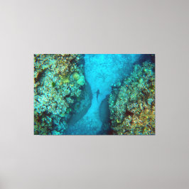 PACIFIC REEF SHARK 40x60 Canvastryck