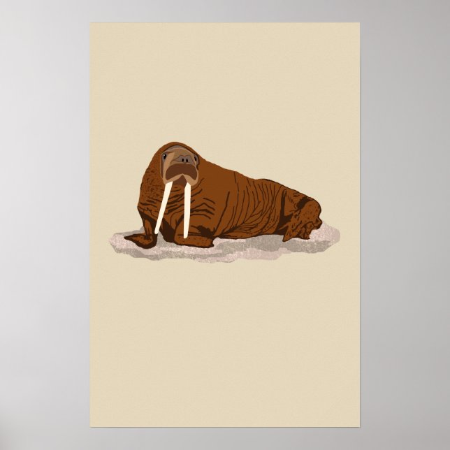 Pacific Walrus Poster (Framsidan)