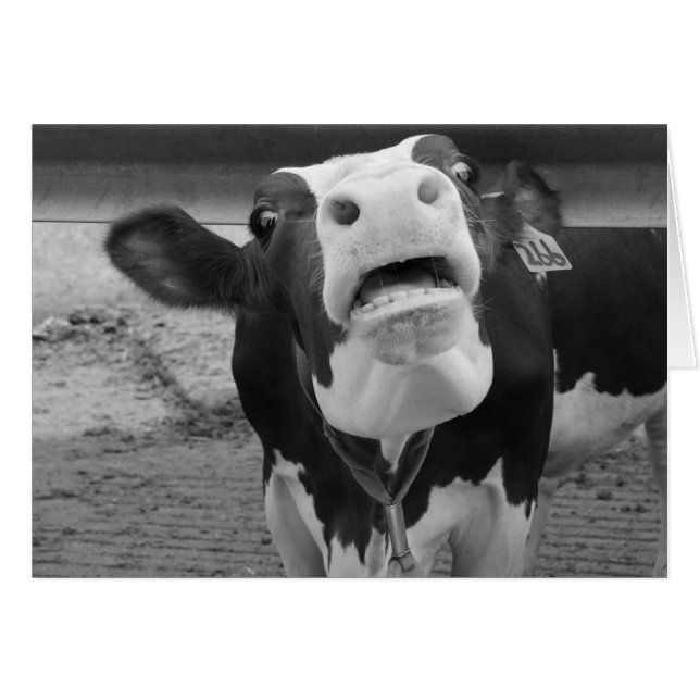 Packa! Hälsningskort (Framsidan Horizontal)