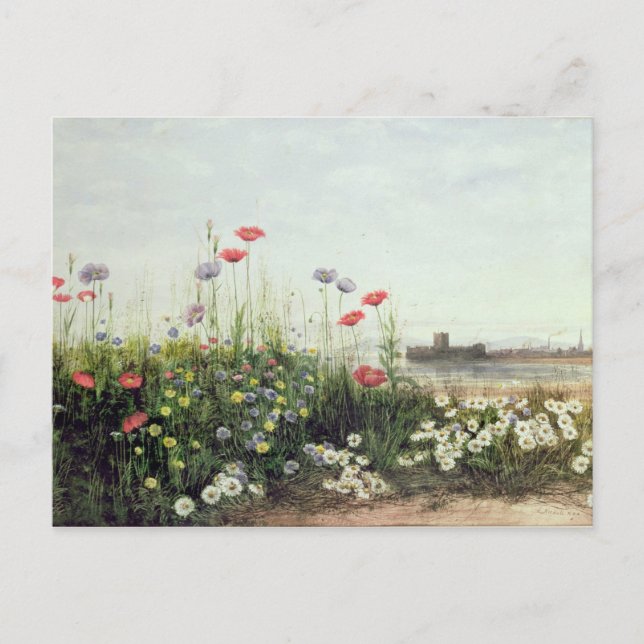 Packa ihop av sommarblommor vykort (Framsida)