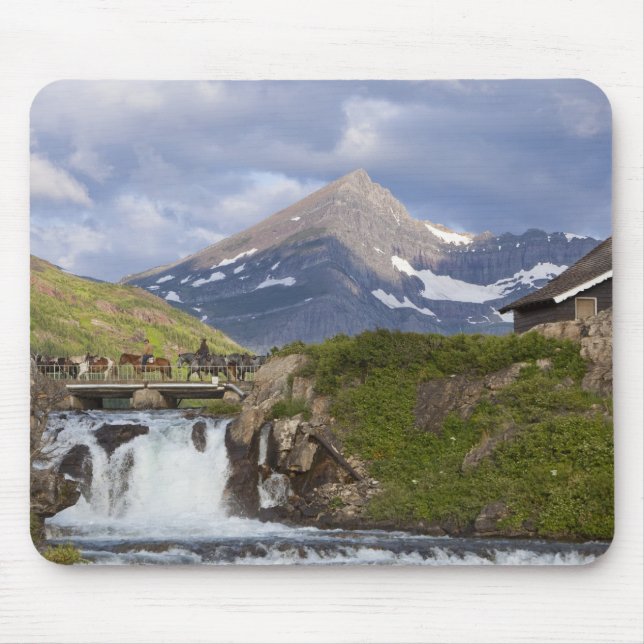 Packare leder rad av hästar över bro ovanför musmatta (Framsidan)