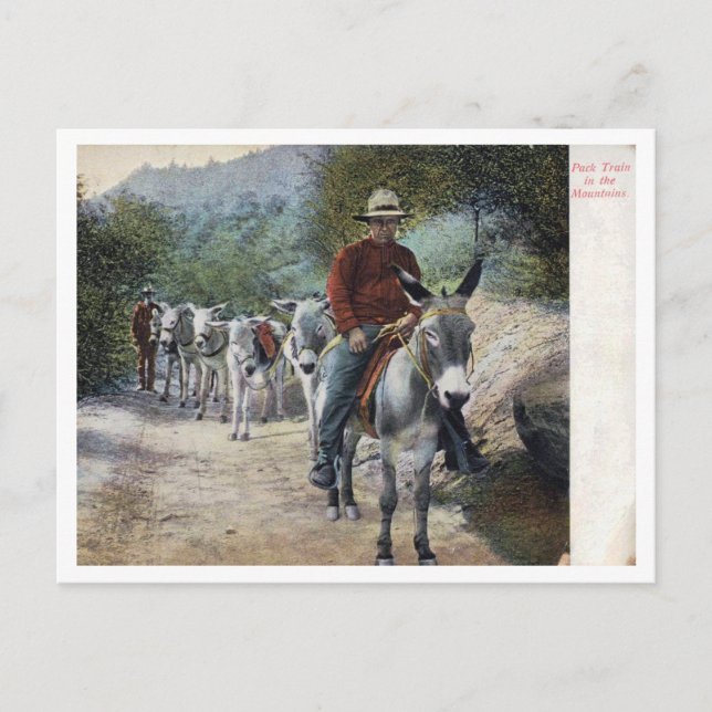 PackningsTåg i Bergstrakter Vintage Vykort (Framsida)