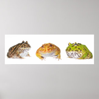 Pacman Poster Panorama