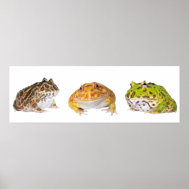 Pacman Poster Panorama (Framsidan)