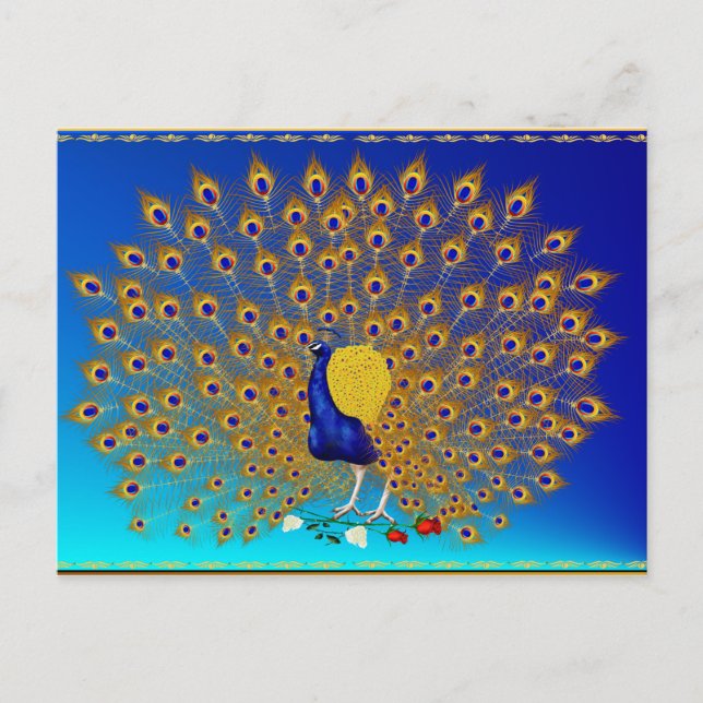 Pacock och Ro vykort (Framsida)