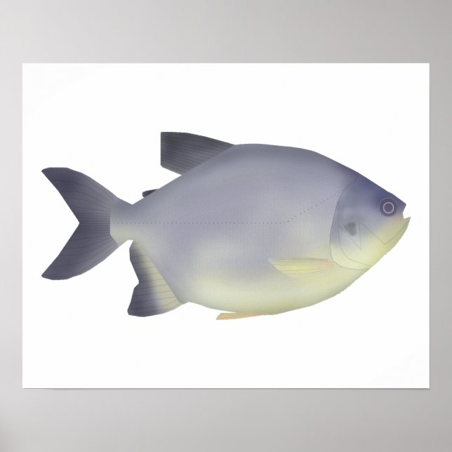 Pacu caranha  poster (Framsidan)