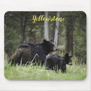 Pad-Yellowstensbjörn för mus Musmatta