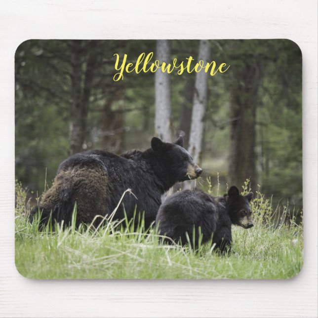 Pad-Yellowstone-björn för mus Musmatta (Framsidan)
