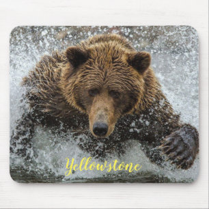 Pad-Yellowstone-björn för mus Musmatta