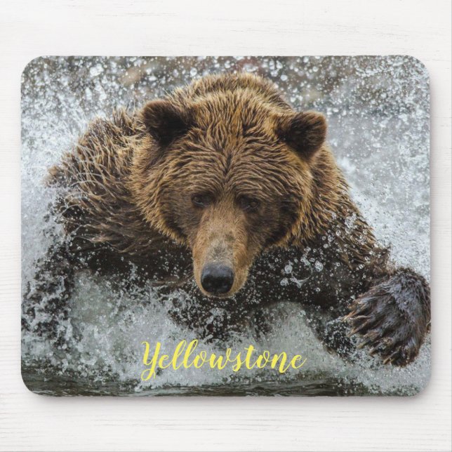 Pad-Yellowstone-björn för mus Musmatta (Framsidan)