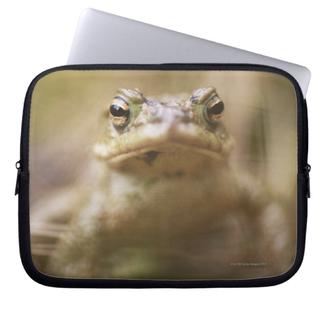 Padda av dagen laptop sleeve (Framsidan)